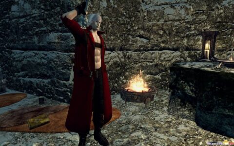 上古卷轴5：天际 鬼泣3但丁红色皮衣