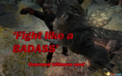 上古卷轴5：天际 解锁空手搏斗时的终结技 v1.1