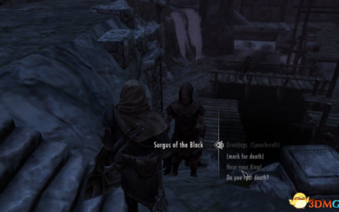 上古卷轴5：天际重制版 身临其境的国王|