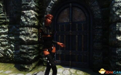 上古卷轴5 调皮忍者服装|