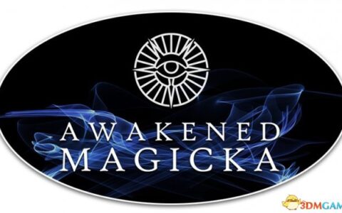 上古卷轴5 魔能觉醒|