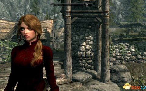 上古卷轴5 红色精灵弓箭手护甲|