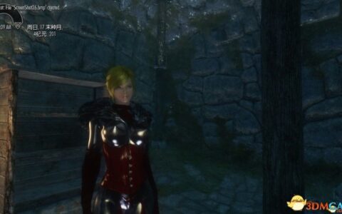 上古卷轴5：天际 性感女王皮装|