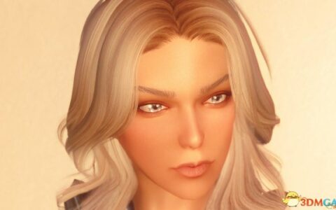 上古卷轴5：天际 剑士随从伊莎贝尔|