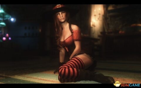 上古卷轴5 迷人的衣服|