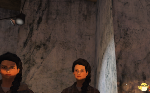 辐射4 另一个我|