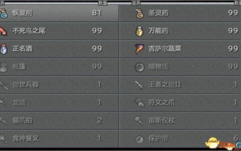 最终幻想9 最强装备初始存档