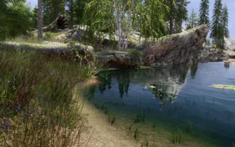 《上古卷轴5：天际重制版》MOD|光滑水纹理|