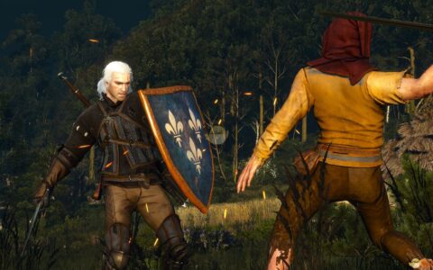 《巫师3：狂猎》MOD|一些新的盾牌和物品|