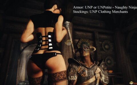 《上古卷轴5：天际》MOD|性感的女性4K加载界面|