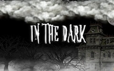 黑暗之中（In The Dark）|解压即玩|