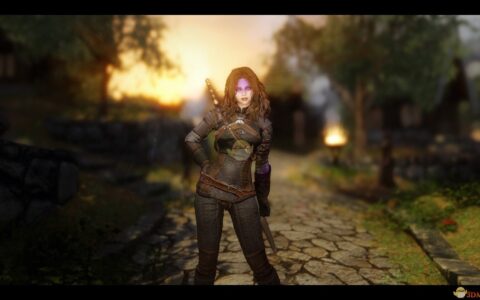 《上古卷轴5：天际》MOD|Berte巫师3风格女性随从|