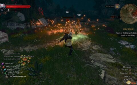 《巫师3：狂猎》MOD|无敌的火印|