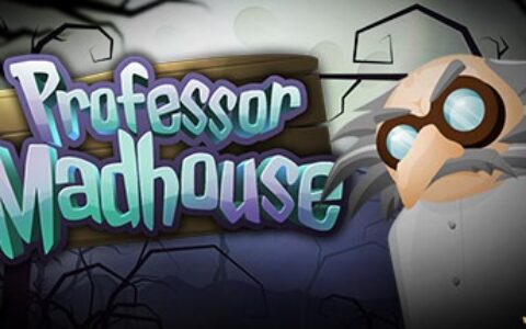 教授的疯人院（Professor Madhouse）|解压即玩|