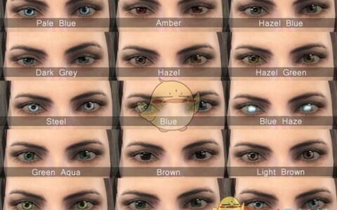 《辐射4》MOD|星光眼睛|