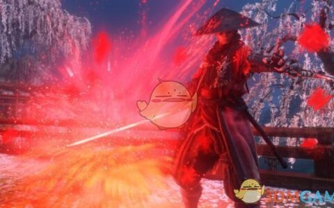 《只狼：影逝二度》MOD|斗笠武士|