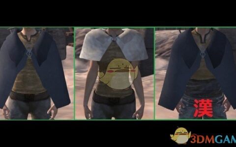 《剑士》MOD|披肩服装|