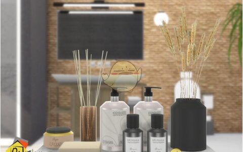 《模拟人生4》MOD|浴室日常用品|