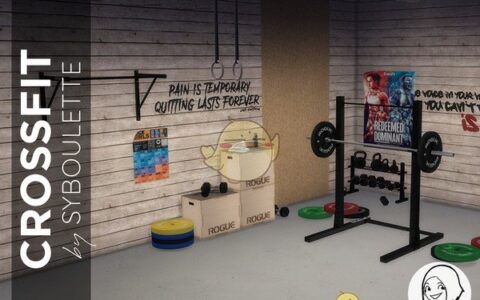 《模拟人生4》MOD|运动器具|