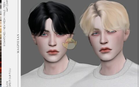 《模拟人生4》MOD|男款中分卷发|