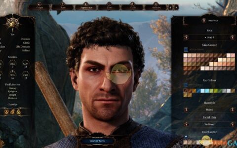 《博德之门3》MOD|人类男性面部美化|