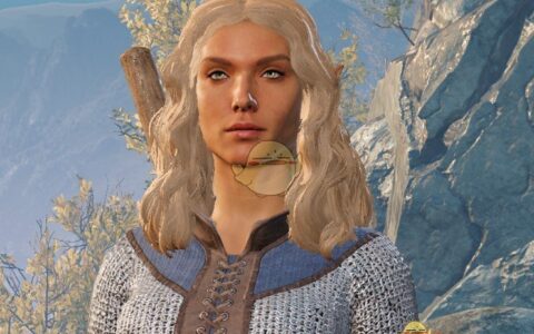 《博德之门3》MOD|发型扩展|