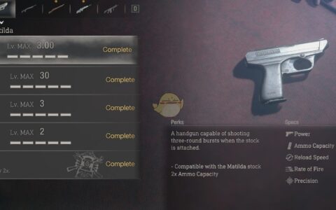 《生化危机4：重制版》MOD|全自动玛蒂尔达|