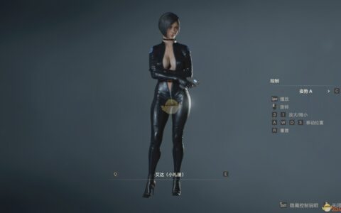 《生化危机2：重制版》MOD|艾达he克莱尔 BSAA夹克无吊带服|