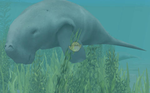 《动物园大亨2》MOD|儒艮|