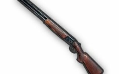 《星空》MOD|S686双管散弹枪SFX|