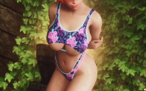 《上古卷轴5：天际重制版》MOD|光电比基尼|