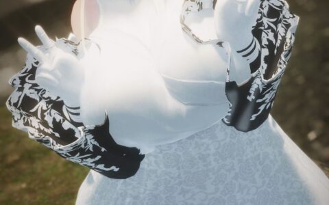 《上古卷轴5：天际重制版》MOD|道加套装|