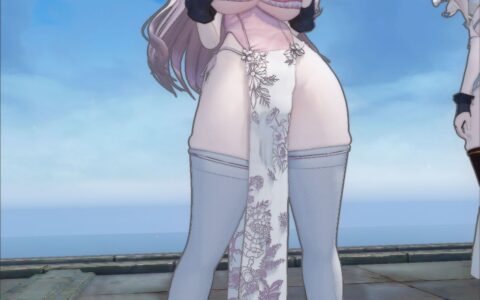 《上古卷轴5：天际重制版》MOD|心甘比基尼旗袍|