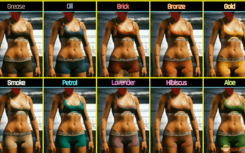 《赛博朋克2077》MOD|芦荟绿色丰满性感运动内衣|