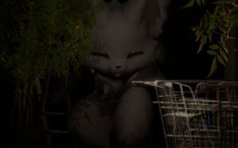 逃离亲吻男孩（ESCAPE FROM BOYKISSER）官方中文 |解压即玩|