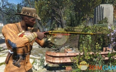 《辐射4》MOD|双管猎象步枪|