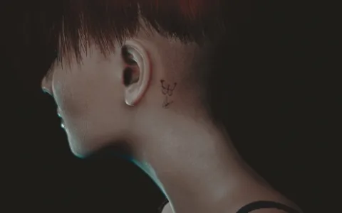 《赛博朋克2077》MOD|面部纹身替换III|