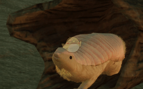 《动物园之星》MOD|新物种倭犰狳|