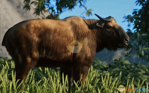 《动物园之星》MOD|新物种西藏羚牛|