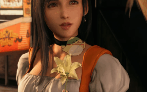 《最终幻想7：重制版》MOD|蒂法死或生Garnet服饰|