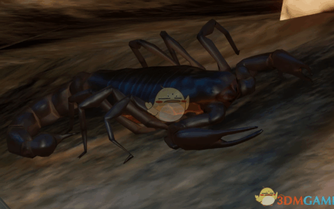 《动物园之星》MOD|新物种南非黑粗尾蝎|