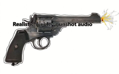 《荒野大镖客2》MOD|逼真的Webley射击音频|