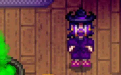 《星露谷物语》MOD|巫师的新长袍|