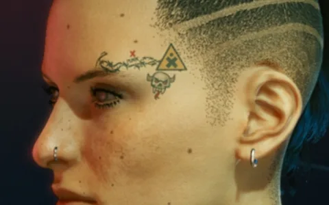 《赛博朋克2077》MOD|替代NUSA面部和身体纹身|