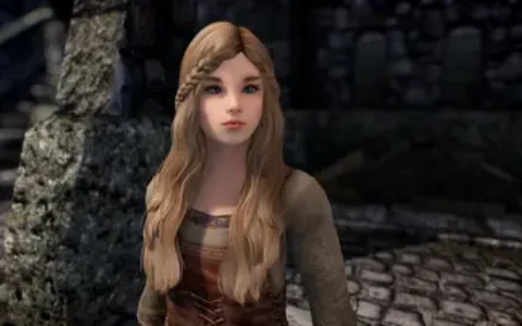 《上古卷轴5：天际重制版》MOD|天际之子|