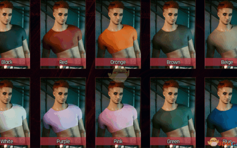 《赛博朋克2077》MOD|女式紫色大胸 Crop Top |