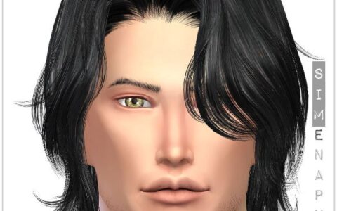 模拟人生4 稀疏的胡子|