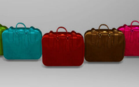 《模拟人生4》MOD|手提箱|