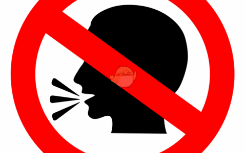 《街头霸王6》MOD|禁言|下载