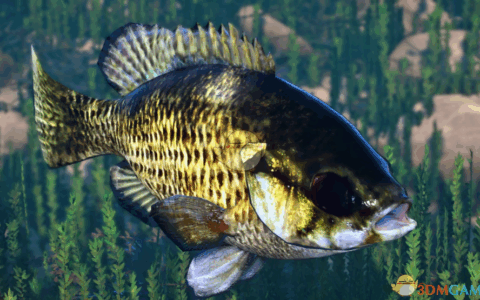 《动物园之星》MOD|新物种巴司鱼|下载